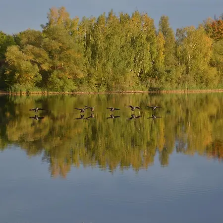 Haus Am See * Speyer